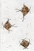 4 Assorted Blank Handmade Greeting Cards - Birthday, Holiday, Father's Day, Thank You or Any Occasion Greeting Cards ; Happy New Year