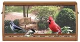 Heath Outdoor Products WF140 Deluxe Window Feeder