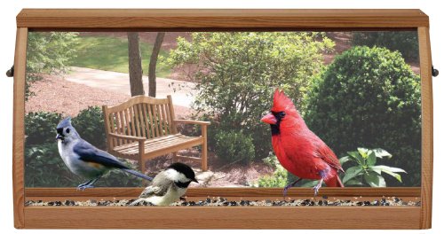 Childrens Toyshop  Outdoor Living : Heath Outdoor Products WF140 Deluxe Window Feeder