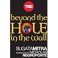 Sugata Mitra's Beyond the Hole in the Wall: Discover the Power of Self-Organized Learning