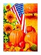 Regular Sized Flag American Fall [Kitchen]