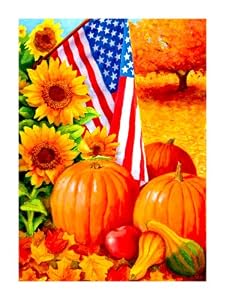 Regular Sized Flag American Fall [Kitchen]