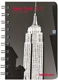 New York 2012 Small Engagement Calendar
