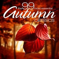 Concerto No. 20 in D Minor for Piano and Orchestra, K. 466: I. Allegro