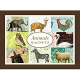 Animal Magnets - Assorted Set of 26 Magnets by Cavallini & Co.