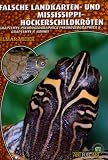 Falsche Landkarten- und Mississippi-Höckerschildkröten