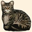 Ah Brown Tabby Doorstop &copy; Adeline Halvorson