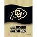 Colorado Golden Buffaloes NCAA Notebook