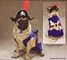 Pet Supplies : Pet Costume Pirate Small