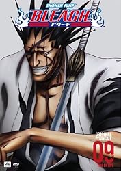 Bleach, Volume 9: The Entry (Episodes 33-36) (2007)