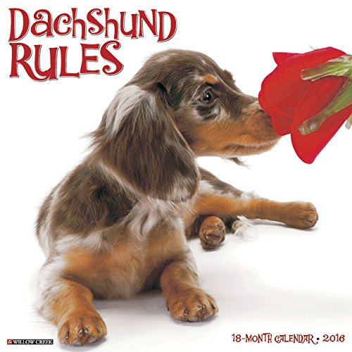 2016 Just Dachshund Rules Wall Calendar