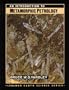 An Introduction to Metamorphic Petrology (Longman Earth Science Series)