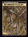 Book An Introduction to Metamorphic Petrology (Longman Earth Science Series)
