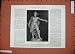 1888 Statue Sir William Wallace Aberdeen War Man Print