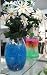 Cristal Colorful Soil for Plants Beautiful Just Add Water 5 Envelop 100 Expands