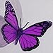 Butterfly 3D Translucent Decoration 15 Butterflies RAINBOW colors