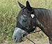 Cashel Quiet Ride Draft Horse Fly Mask with Ears - Size: Draft