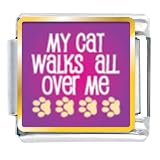 Cat Walks Over Me Animals Italian Charms Bracelet Link