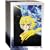 �|�{�b�qBOX [DVD]