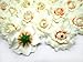 (24) Silk Cream Roses Flower Head - 1.75