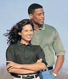 Short Sleeve 5.8 oz 100% Mercerized Cotton Pique Polo Golf Shirt (Regular and Big & Tall Sizes)