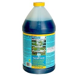 EasyCare 50064 FounTec Algaecide and Clarifier, 64 oz. Bottle
