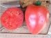 Tomatensorte => Wolfort Wonder (Samen)