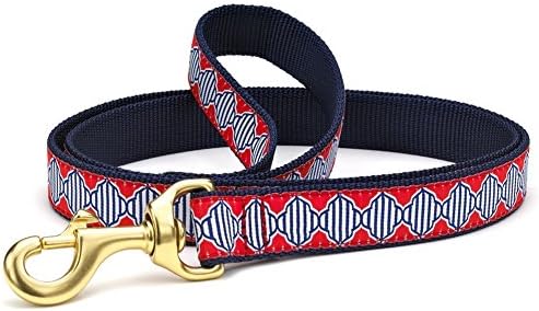 Soundwaves Dog Leash - Large