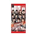 AKB48オフィシャルトレーディングカード 「AKB48 トレーディングコレクション」 3パックセット