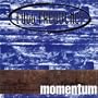 Momentum