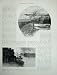 1886 Australia Thursday Island Palm Tree Albany Torres
