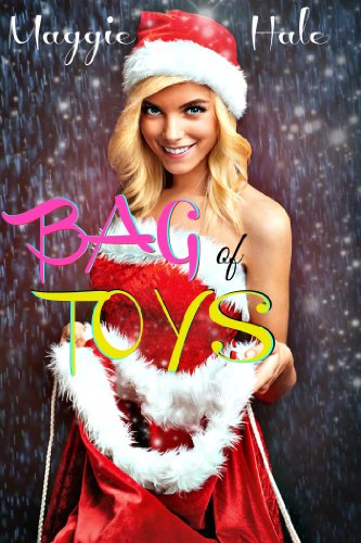 Bag of Toys (XXX-mas Book 4)