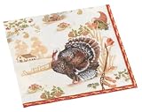 Caspari Homestead Paper Cocktail Napkin Package
