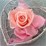 �������� �v���U�[�u�h�t�����[�uheart �n�[�g�v�s���N