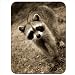Raccoon Racoon Premium Quality Thick Rubber Mouse Mat Pad Soft Comfort Feel Finish