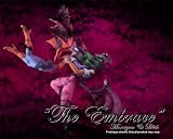 SOTA Toys - Darkstalkers Diorama Morgan & Lilith 'The Embrace' SDCC 2011 ExcIMAGE
