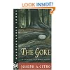 The Gore (Hardscrabble Books-Fiction of New England)