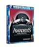 Amadeus - Director