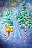 Backdrop City Chris Santa20