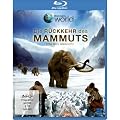 Die R�ckkehr des Mammuts - Discovery World [Blu-ray]