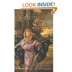 Paladin of Souls