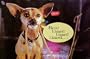 Taco Bell Chihuahua ~ Here Lizard Lizard Lizard ... Rare Classic Poster Print...