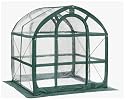 SpringHouse Clear