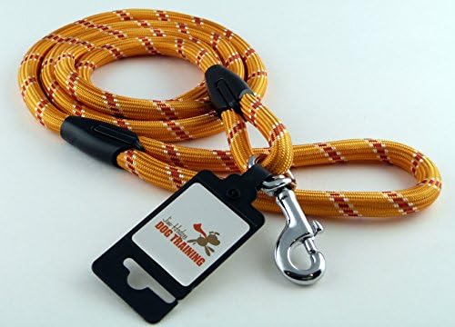 Introductory Offer 48% Off - Premium Quality Mountain Climbing Rope Dog Leash - 6 Feet - Great Lead for Walking, Training and Hiking with your Dog or Puppy - Orange