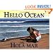 Hello Ocean / Hola Mar