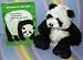 Large Plush Panda Bear (Ganz Webkinz) WITH 