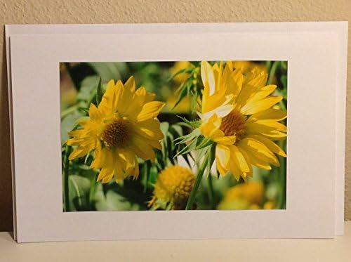 Sunny Day-sies Simply Floral Series Daisy Floral Flowers Handmade Photo Greeting Card Blank All Occasion Mother Wedding Anniversary Sympathy Encouragement Easter Birthday
