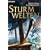 Sturmwelten: Roman