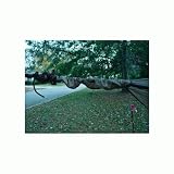 Hennessy Hammock Snakeskins #4