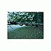 Hennessy Hammock Snakeskins #4 Hennessy Hammock Snakeskins #4